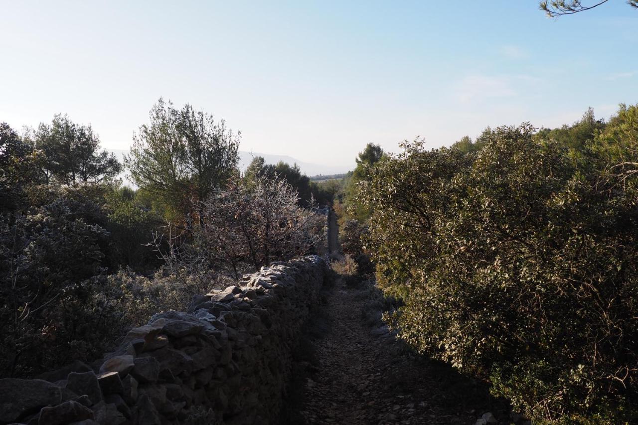 Chambres D'Hotes Le Relais Des Marmottes En Luberon Lagnes Esterno foto