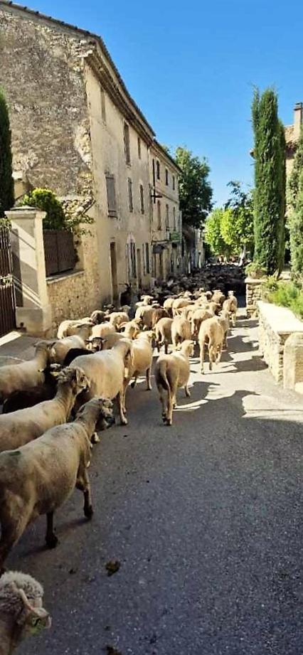 Chambres D'Hotes Le Relais Des Marmottes En Luberon Lagnes Esterno foto