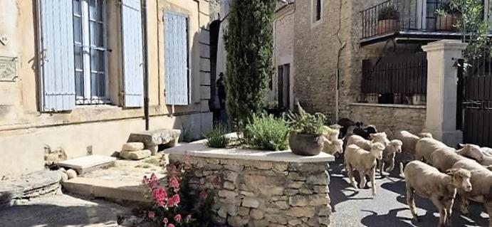 Chambres D'Hotes Le Relais Des Marmottes En Luberon Lagnes Esterno foto